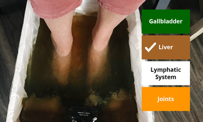 HeaWellness Ionic Foot Spa | Support your body’s natural detox